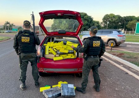 Homem é preso pelo DOF com quase 260 quilos de drogas em Dourados