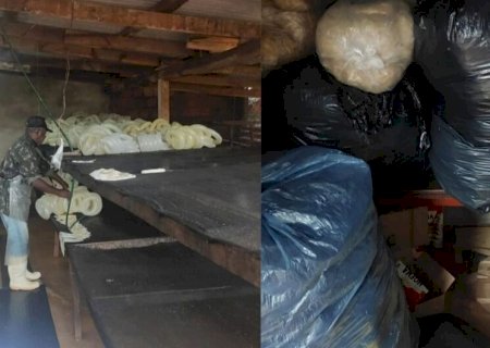 Empresário é preso com 1,5 tonelada de tripa estragada em fábrica
