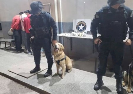 Com ajuda de cães, polícia flagra bolivianos com cocaína em táxi