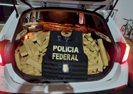 Homem é preso com 800 quilos de maconha em BMW com placa falsa