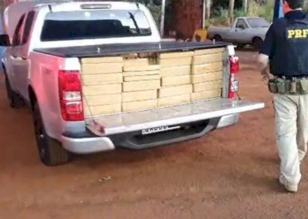 PRF apreende 1.600 quilos de maconha em S10 na BR-163