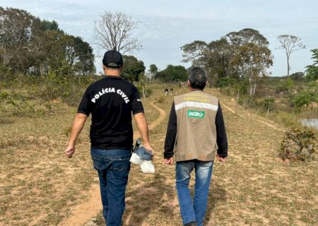 Ação conjunta encontra quase 100 bezerros em situação de maus-tratos