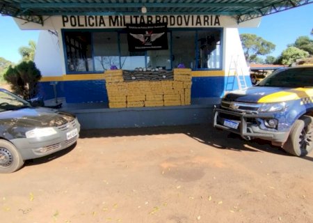 PMR apreende mais de 550 quilos de drogas avaliados em mais de R$ 1,6 mi