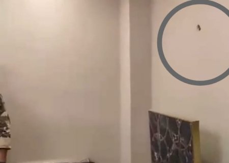 Pavão Real: Policiais são recebidos a tiros por esposo de promotora