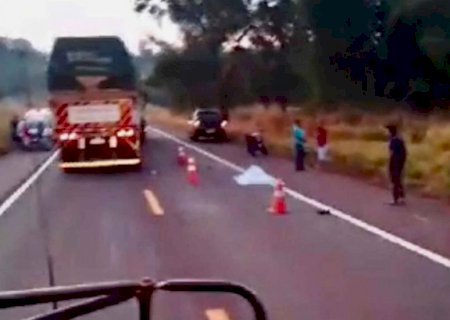 Fatalidade: Motociclista morre em rodovia após atropelar anta