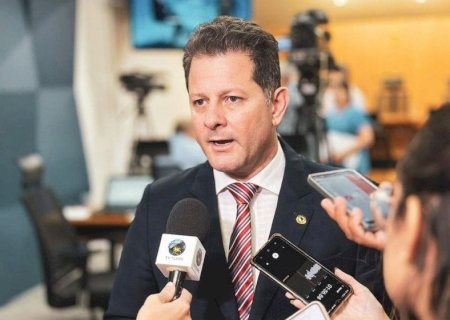 Renato Câmara defende lei para conter desmatamento no Pantanal