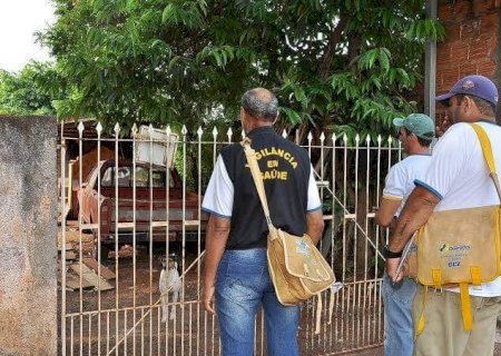 Com Mais de R$ 77,6 Mil em Multa, CCZ de Dourados Publica Novo Edital