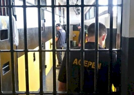 Pão é desviado de presos para alimentar galinhas do diretor da PED