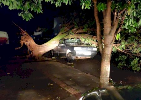 Temporal deixa rastro de destruição e vários bairros sem energia em Dourados