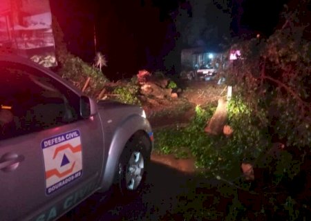 Em Dourados, casa foi destelhada e pelo menos três árvores caíram com tempestade