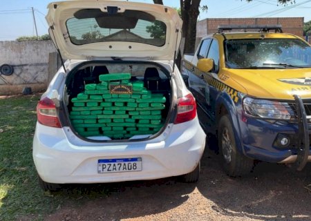 Homem é preso com carga de maconha avaliada em quase R$ 200 mil