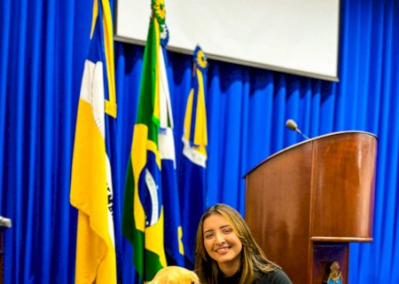 Com milhares de seguidores nas redes, Golden Retriever douradense vira celebridade