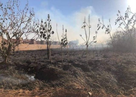Imam de Dourados Quer Terrenos Limpos em 20 Dias Para Evitar Queimadas