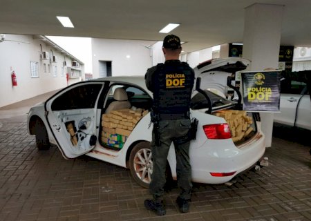 Veículos são apreendidos com carga de maconha avaliada em R$ 7,8 milhões