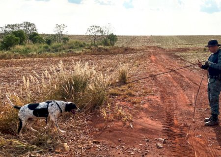 Com auxílio de cães farejadores, polícia continua buscas por corpo de indígena