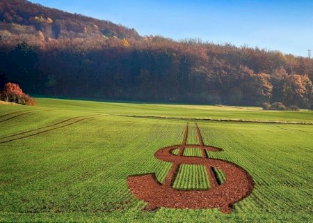 Agricultura criará plataforma para produtor relatar problemas de acesso a crédito
