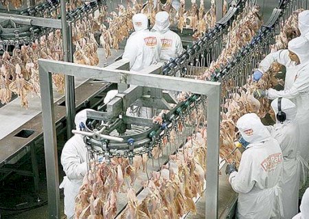 Após MS controlar gripe aviária, Japão encerra embargo às exportações