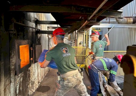 Delegacia de Fronteira incinera 12,3 toneladas de drogas