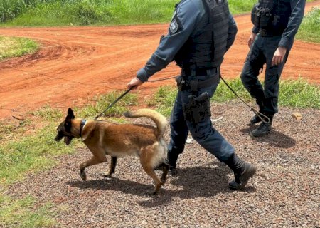 Polícia prende homem apontado como um dos fornecedores de drogas em Dourados