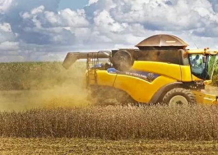MS é o 1º em ranking de ricos do agronegócio que ganharam mais em 5 anos