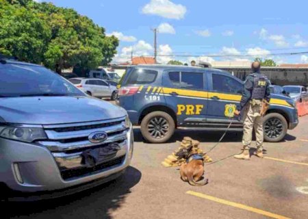 Boliviano é preso pela PRF com mais de 40 quilos de cocaína e CNH vencida
