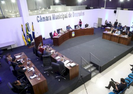 Câmara aprova projeto de lei para combater o abandono de animais