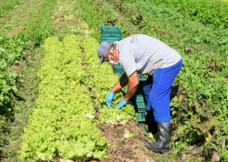 Produtores rurais têm até junho para utilizar crédito de ICMS já liberado