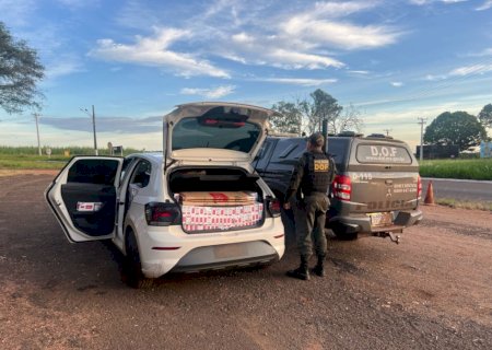 DOF apreende veículo carregado com R$ 110,5 mil em pacotes de cigarros