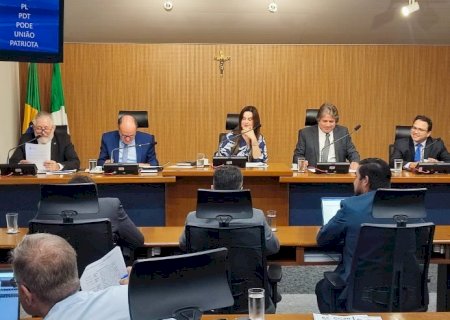 CCJR acata projeto que veda por 5 anos a captura e comercialização do Dourado