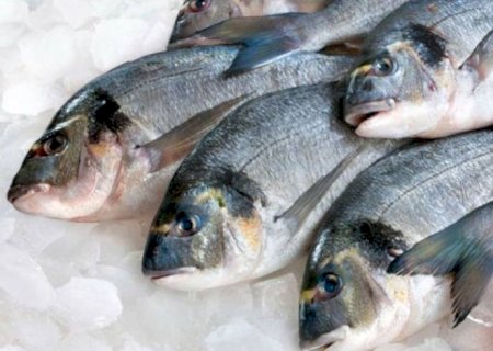 Chocolate fica mais barato, mas peixes estão mais caros, mostra Procon