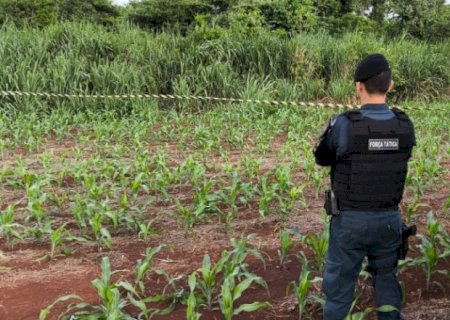 Homem é morto com várias facadas e degolado na Aldeia Jaguapiru