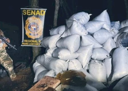 Secretaria Antidrogas apreende mais de 9 toneladas de maconha na fronteira