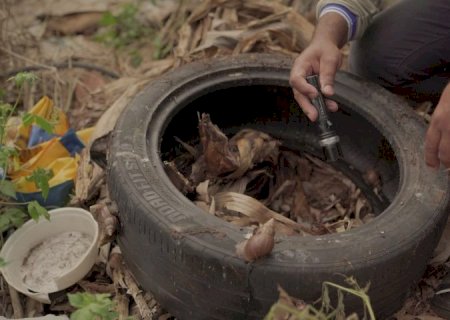 Dengue afetou 5,7 mil pessoas e matou 14 neste ano em MS