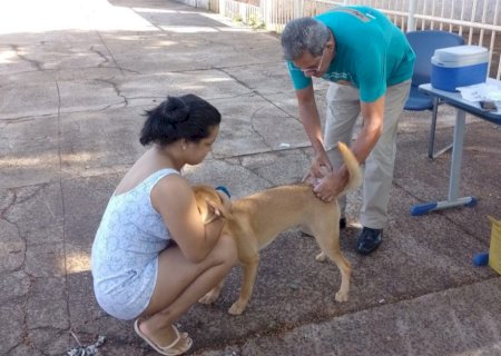 CCZ aplica vacina antirrábica em seis pontos nesta semana