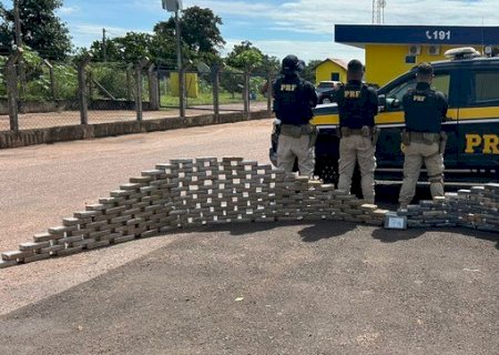 PRF apreende 274 quilos de cocaína em caminhão na BR-163