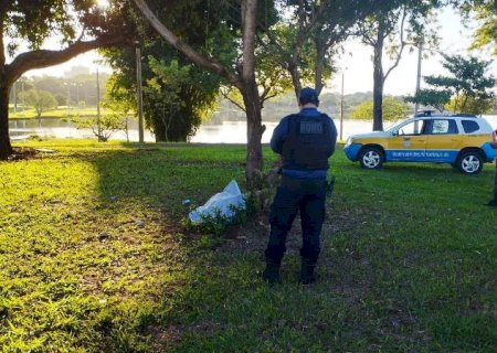 Homem é encontrado morto com tiro na cabeça em Dourados
