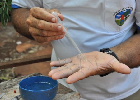 Mato Grosso do Sul tem quase 12 mil casos prováveis e 4,2 mil confirmados de Dengue