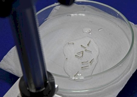 MS registra 9.864 casos confirmados de dengue em 2024