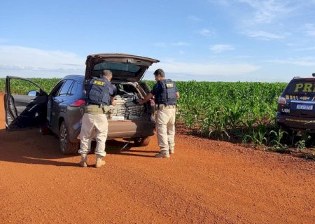 Em duas ações, PRF apreende 2,6 toneladas de maconha na BR-267