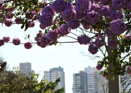 Julho começa com frio em MS e temperatura sobe ao longo da semana