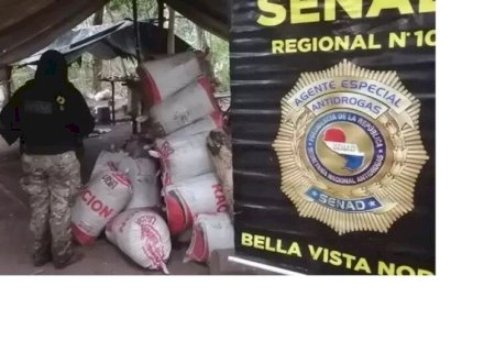 Senad fecha acampamento do tráfico com 6 hectares de maconha na fronteira