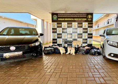 Polícia apreende veículos com quase 300 quilos de cabelo humano