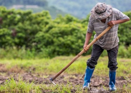 Investimento na agricultura familiar cresce 130% e chega a R$ 7 milhões