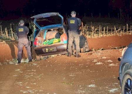 DOF apreende quase R$ 3 milhões em drogas na fronteira de MS
