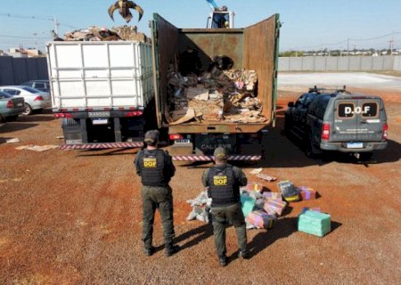 DOF apreende 8,1 toneladas de maconha em carga de papelão