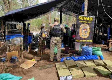 Senad destrói acampamentos do narcotráfico na fronteira de MS