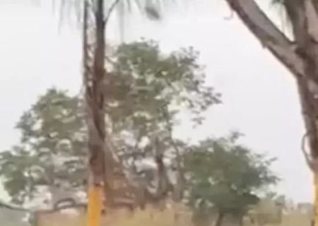 Criança de 12 anos é atropelada ao descer de caminhão para ir ao banheiro