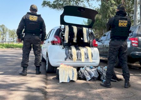 Dupla é flagrada com mais de 130 quilos de cabelo humano