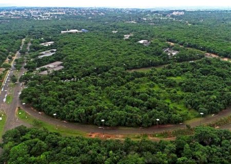 Tribunal de Justiça mantém decisão e impede desmatar Parque dos Poderes