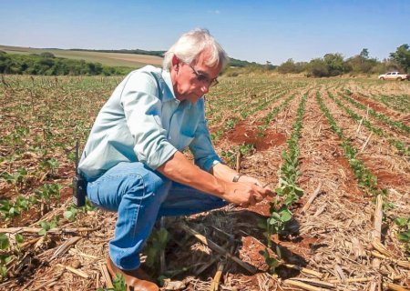 MS: é o momento de plantar a soja?